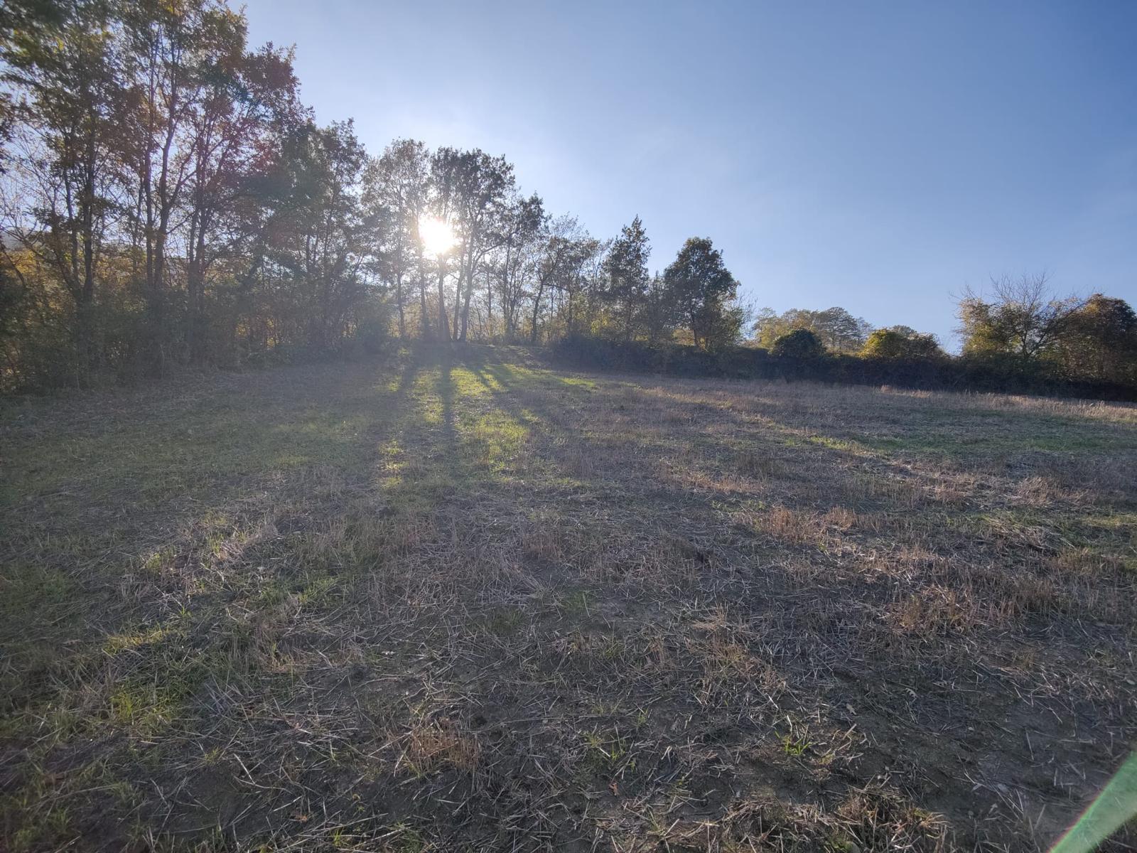 ATAKUM AKALAN'DA DOĞA İLE İÇ İÇE YATIRIMLIK TARLA